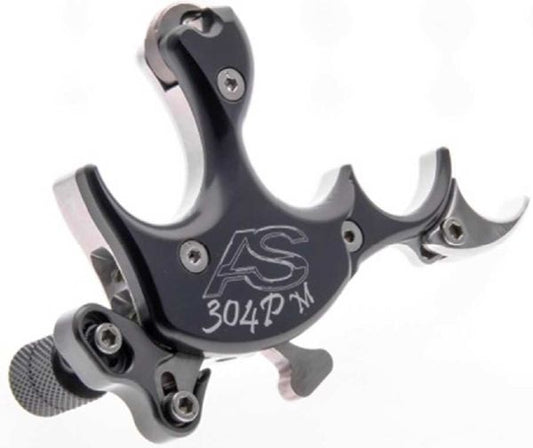 Arc Systeme 304 P Release