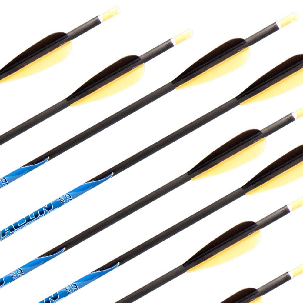 Avalon Classic Arrows (doz) 400 WAREHOUSE SALE