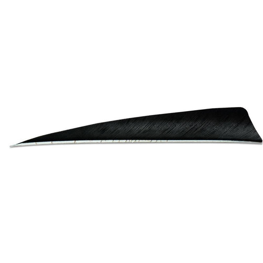 Skylon Feathers 5in RW - Shield - Solid (pk/24)